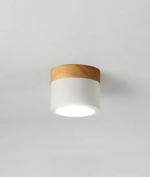 Plafonnier Spot Ceiling Lamp