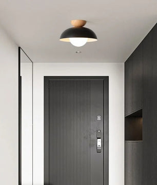 Minimalist Nordic Semi Ceiling Light S81