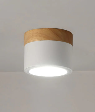 Plafonnier Spot Ceiling Lamp