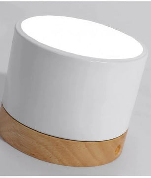 Nordic Cylindrical LED Ceiling Light S43