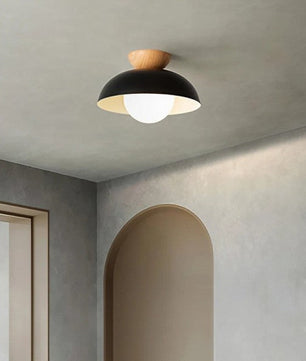Minimalist Nordic Semi Ceiling Light S81