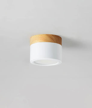 Plafonnier Spot Ceiling Lamp