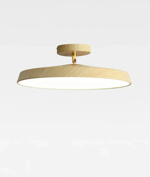 Round LED Ceiling Lamp