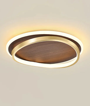 Parfco Ceiling Lamp