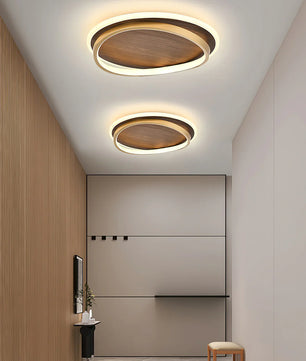 Parfco Ceiling Lamp