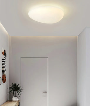 Toan LED Ceiling Lamp