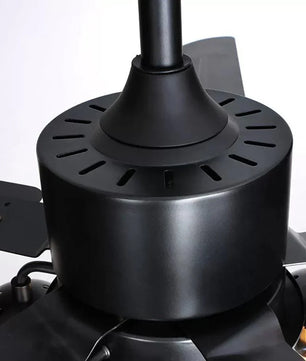 Glass Ball Ceiling Fan Light