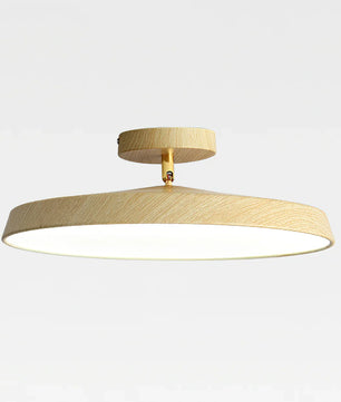 Round LED Ceiling Lamp