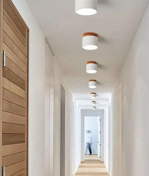 Plafonnier Spot Ceiling Lamp