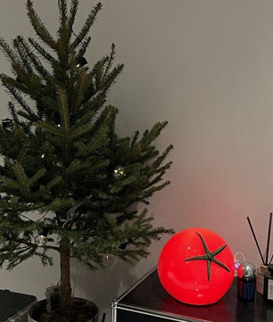 Creative LED Tomato Table Lamp