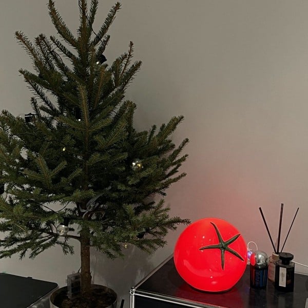 Creative LED Tomato Table Lamp