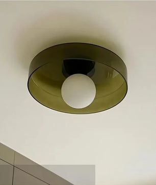 Modern Round Flush Mount Morandi Ceiling Light S80
