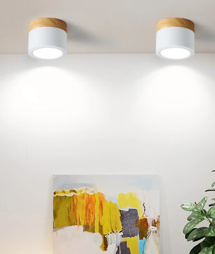 Plafonnier Spot Ceiling Lamp