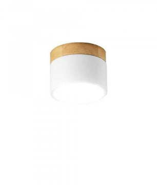 Nordic Cylindrical LED Ceiling Light S43