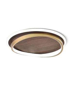 Parfco Ceiling Lamp