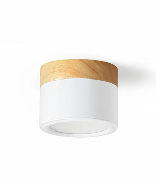 Plafonnier Spot Ceiling Lamp
