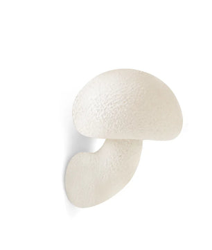 Mushroom Resin Wall Lamp