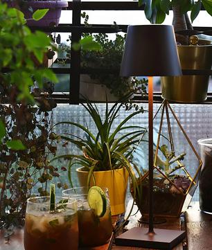 Poldina Built-in Battery Table Lamp