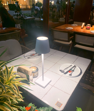 Poldina Built-in Battery Table Lamp