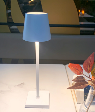 Poldina Built-in Battery Table Lamp