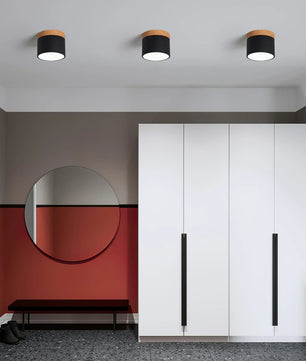 Plafonnier Spot Ceiling Lamp