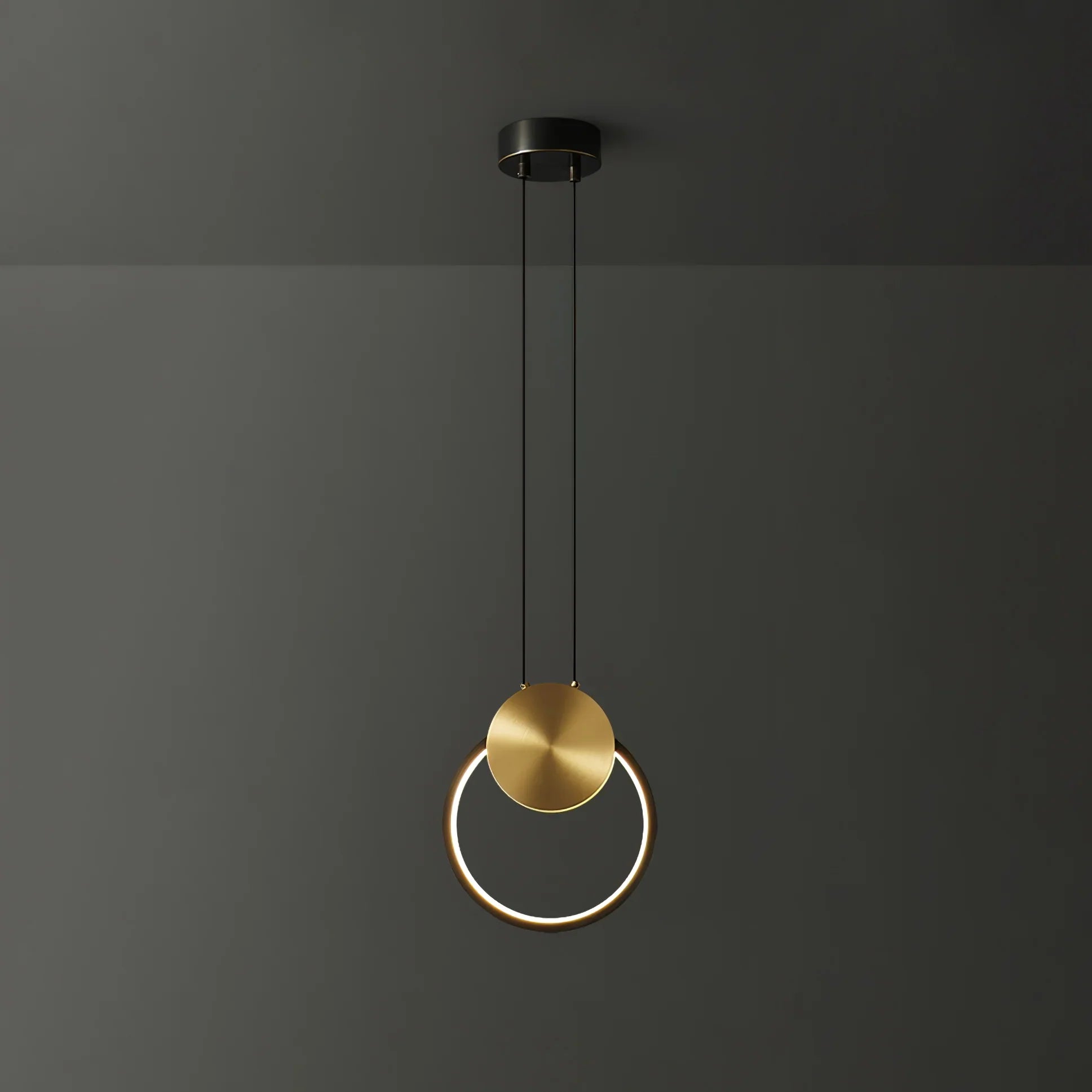Ring Hanging Pendant Light