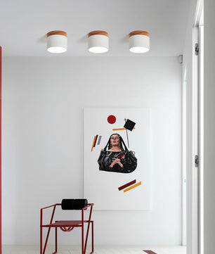 Plafonnier Spot Ceiling Lamp