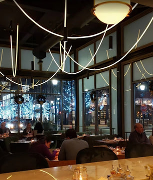 Flex LED Pendant Light