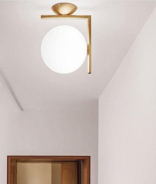 IC Lights Wall/Ceiling Light