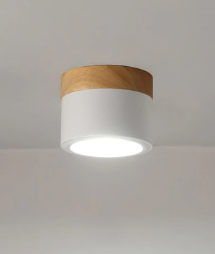 Plafonnier Spot Ceiling Lamp