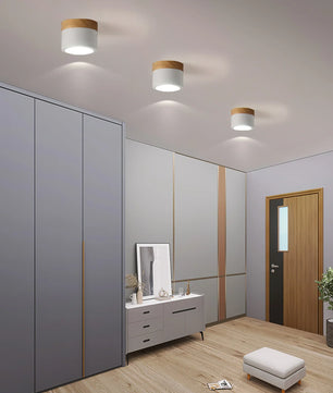 Plafonnier Spot Ceiling Lamp