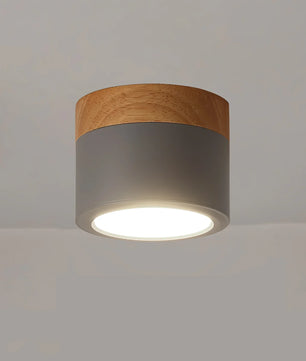 Plafonnier Spot Ceiling Lamp