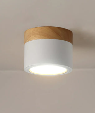Plafonnier Spot Ceiling Lamp