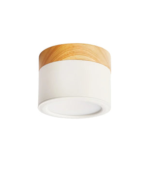 Plafonnier Spot Ceiling Lamp