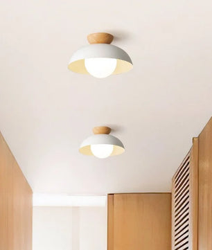 Minimalist Nordic Semi Ceiling Light S81