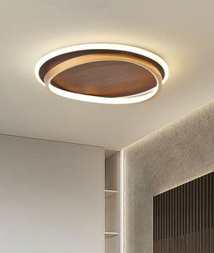 Parfco Ceiling Lamp