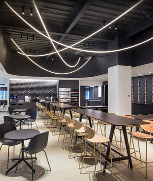 Flex LED Pendant Light