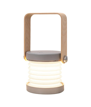 Portable Lantern Table Lamp