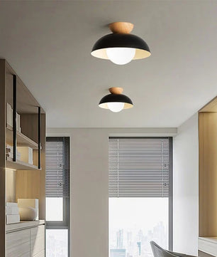 Minimalist Nordic Semi Ceiling Light S81