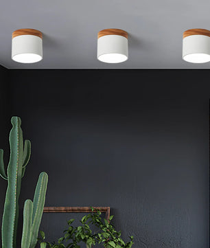Plafonnier Spot Ceiling Lamp