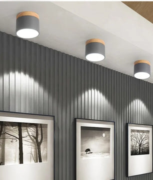 Nordic Cylindrical LED Ceiling Light S43