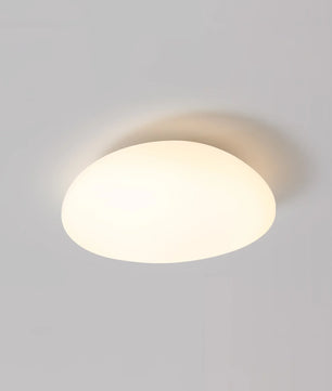 Toan LED Ceiling Lamp