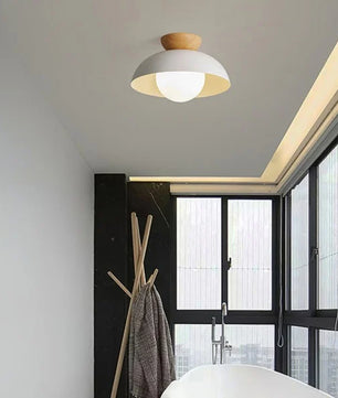 Minimalist Nordic Semi Ceiling Light S81