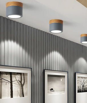 Plafonnier Spot Ceiling Lamp