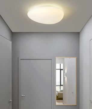 Toan LED Ceiling Lamp
