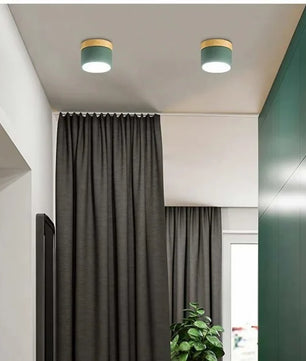 Nordic Cylindrical LED Ceiling Light S43