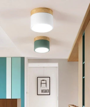 Nordic Cylindrical LED Ceiling Light S43