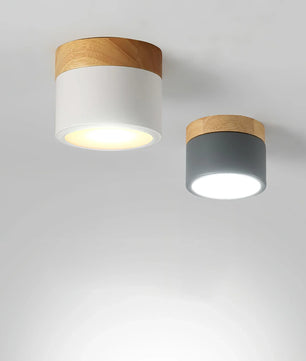 Plafonnier Spot Ceiling Lamp