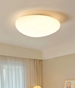 Toan LED Ceiling Lamp