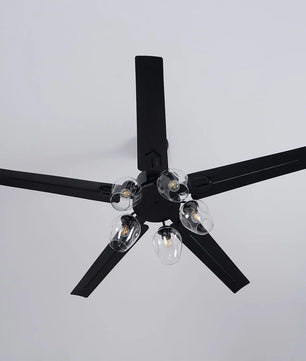 Glass Ball Ceiling Fan Light